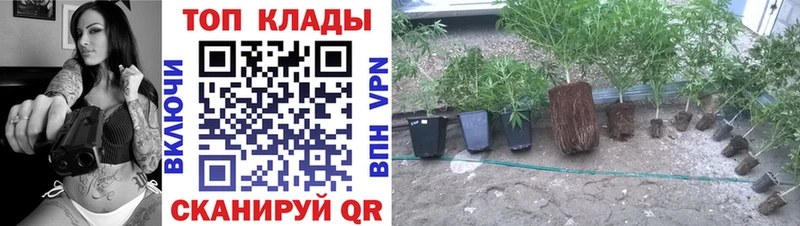 Купить наркоту Гороховец Галлюциногенные грибы ГАШ mega вход Марихуана