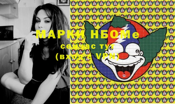 прущие грибы Белокуриха