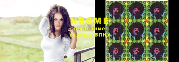 прущие грибы Белокуриха