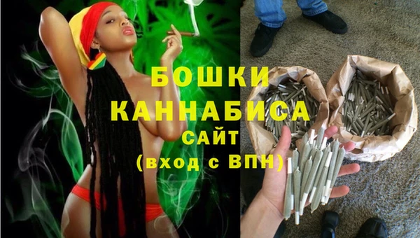 прущие грибы Белокуриха