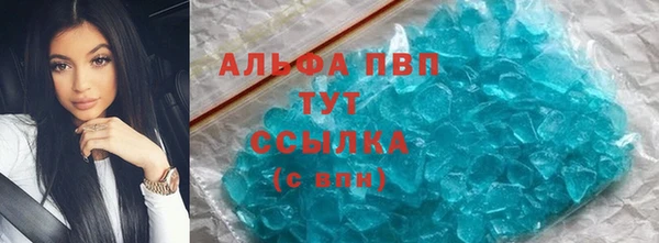 прущие грибы Белокуриха